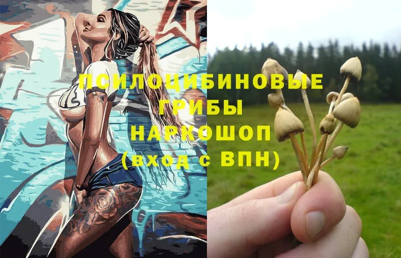 Галлюциногенные грибы Magic Shrooms  Зея 